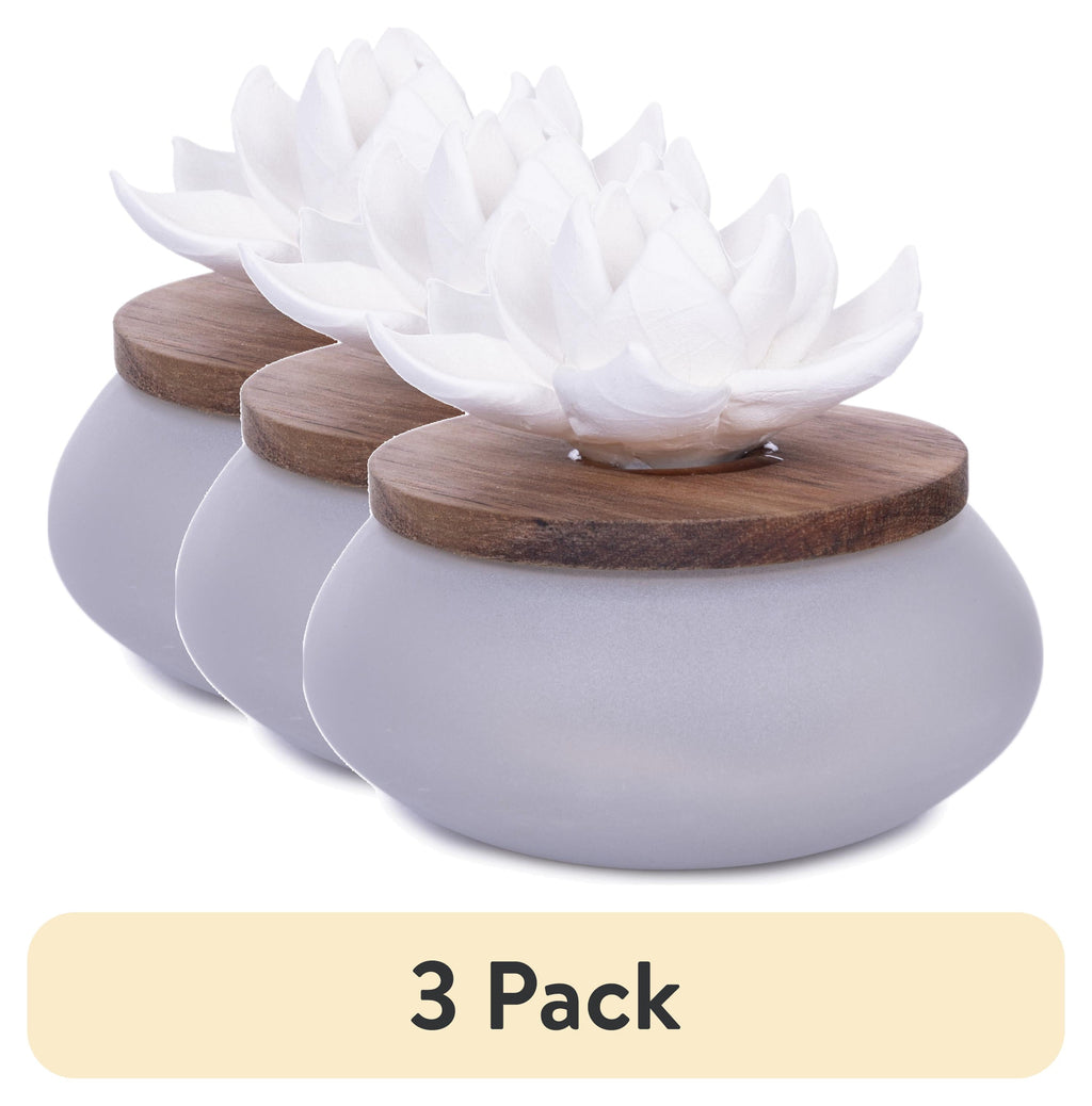 (3 Pack)  Wicking Ceramic Diffuser, Frosted Succulent