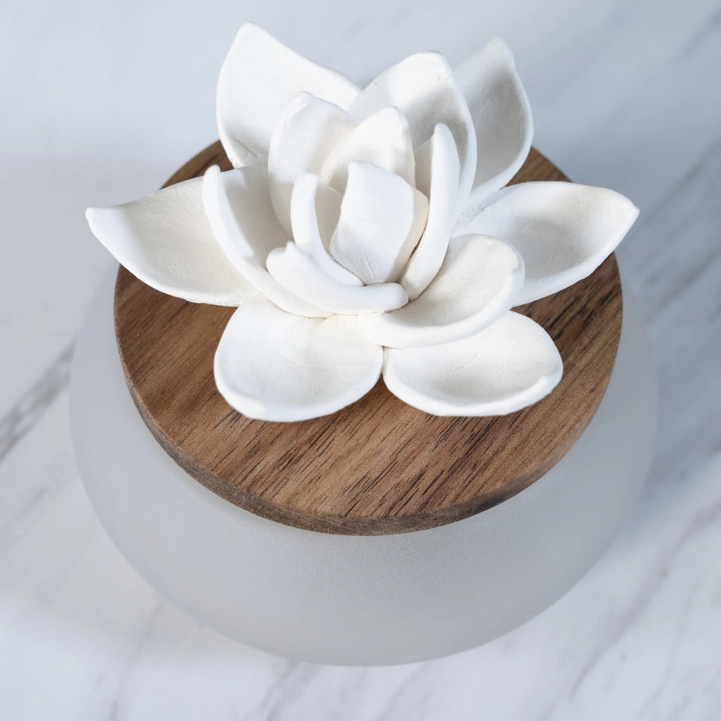 (3 Pack)  Wicking Ceramic Diffuser, Frosted Succulent